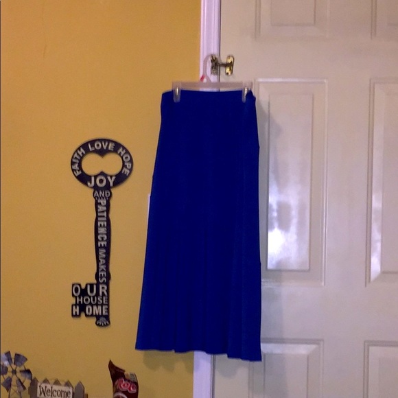 Nina Leonard Beautiful A-line Skirt - Picture 6 of 7